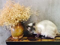 -MIKAKU(万达广场上海宝山店)