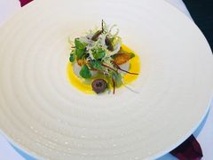 -蝶舍·MAISON PAPILLON