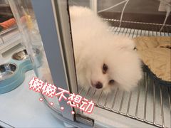 -仲盛世界商城