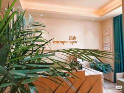 点击看大图 -隐逸SPA