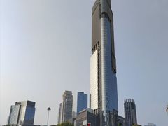 -紫峰大厦