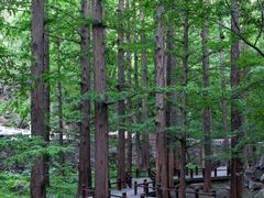 -樱桃沟景区