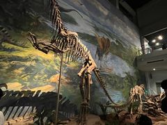 -自贡恐龙博物馆