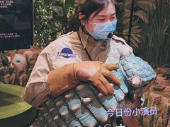 -侏罗纪世界电影特展(广州站)