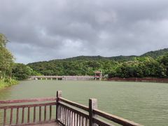 -广州白江湖森林公园