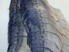 -天伦松鹤大饭店·欣妮咖啡