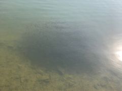 -紫霞湖公园