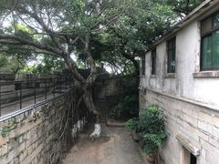 -胡里山炮台
