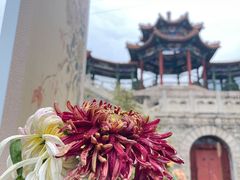 -北京十三陵国家森林公园蟒山景区