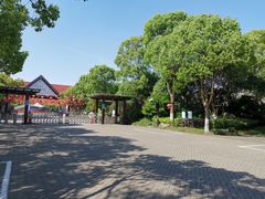 -上海海湾国家森林公园