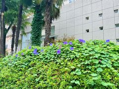 -四川大学(望江校区)