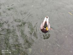 -水磨沟公园