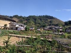 -福建土楼（华安）旅游区•大地土楼群