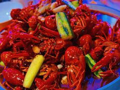 -杨氏青龙虾·羊蝎子(托乐嘉店)