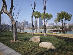 -后襄河公园