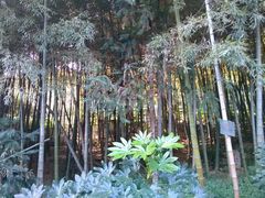 android_upload_pic-旺山景区