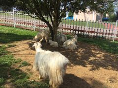 -云漫湖生态度假公园