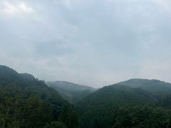 -九尺赵老四鲜鹅肠火锅