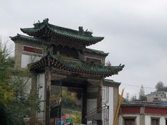 -塔尔寺菩提树