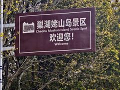 -巢湖姥山岛