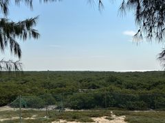 -北海金海湾红树林生态旅游区