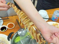 -凯华海鲜火锅·传承三十六年