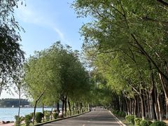 -丁香湖公园