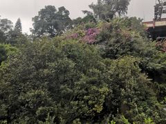 -白云山索道-售票处