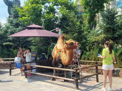 -波塞冬旅游度假区