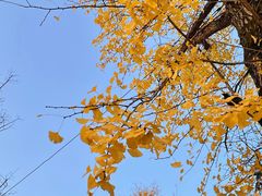 -两江幸福广场