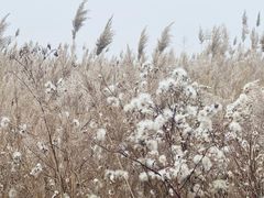 -野鸭湖国家湿地公园