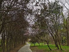 -蜀冈西峰生态公园