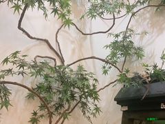 -耳艺采耳·足疗·按摩SPA(市桥店)