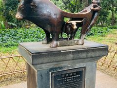 -昆明市金殿名胜区
