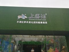 -上膳源有机农场