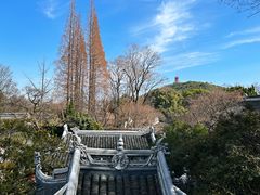 -惠山古镇·寄畅园