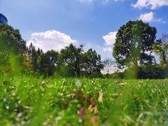 -上海华凯华美达广场酒店