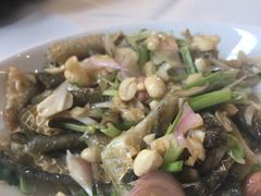 凉拌爽鱼皮-黄埔华苑酒家(黄埔总店)