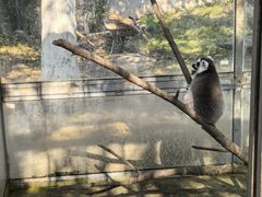 -水绘园