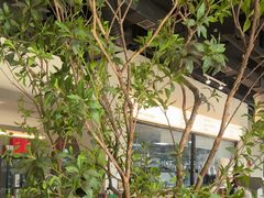 -Pekaa啤咖食肆Coffee&Bistro