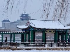 -莲花池公园