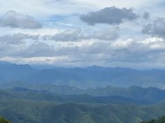 -栾川竹海野生动物园