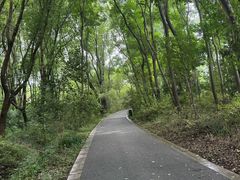 -同里国家湿地公园