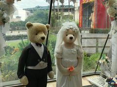 -济州岛泰迪熊博物馆