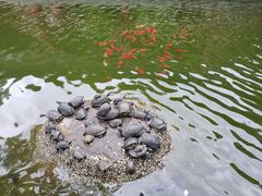-黔灵山公园