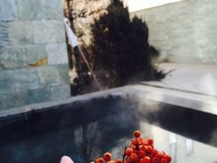 -大连大和馆观山阁温泉酒店