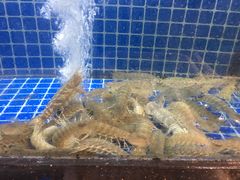 -碧海银沙海鲜餐厅(恒大海上威尼斯店)