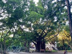 -人民公园(罗湖区)