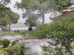 -杭州西湖柳莺里酒店·闻莺厅