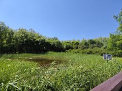 -翠湖国家城市湿地公园
